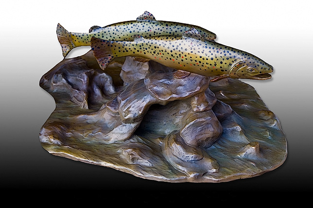 Brown Trout IIS
